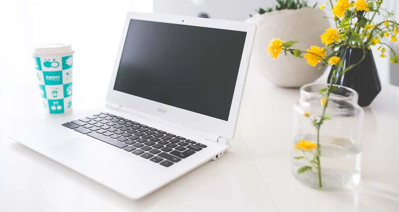 Ремонт ноутбуков Acer в Лыткарино